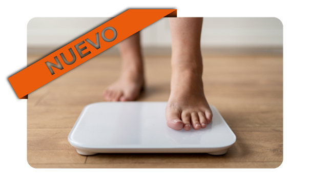 Curso de actualización en Obesidad. Fisiopatología y tratamiento